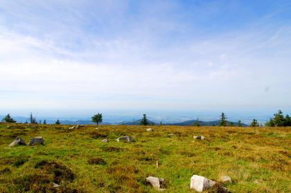 Nationalparkregion Schwarzwald Hornisgrinde Hochplateau