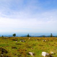 Nationalparkregion Schwarzwald Hornisgrinde Hochplateau