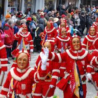 Fasnacht Narrentreffen Hausach 02