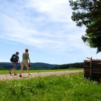 Region Schwarzwald Elsass Schwarzwald Wandern