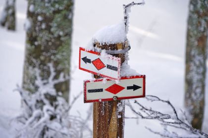 Wer ist der Held an diesem Wintertag? Furtwangen, Westweg im Schnee