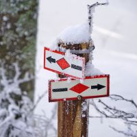Wer ist der Held an diesem Wintertag? Furtwangen, Westweg im Schnee