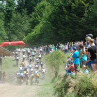 Tausende von Zuschauern bei der Nachwuchsmeisterschaft in Hausach