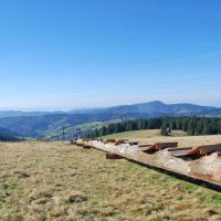 Wandern Schwarzwald Längste Baumliege Todtnau