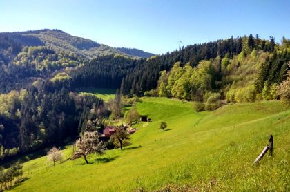 Der Westweg: Wunderschöne Aussichten