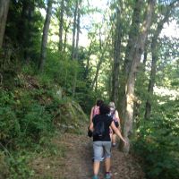 Wanderzeit Franz Goettler Weg Bergauf