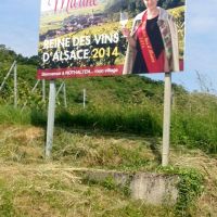 Elsaessische Weinstrasse Vins Alsace 07