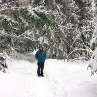 Winter(traum) Auf Dem Kniebis Winterwanderweg