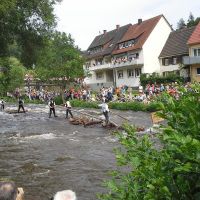 Flosshafenfest  Wolfach 3