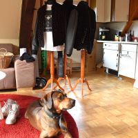 Moderne Und Tradition Vereint Artwood Hautnah