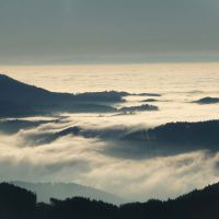 Sonniges Schaumbad Nebel Schwarzwaldberge