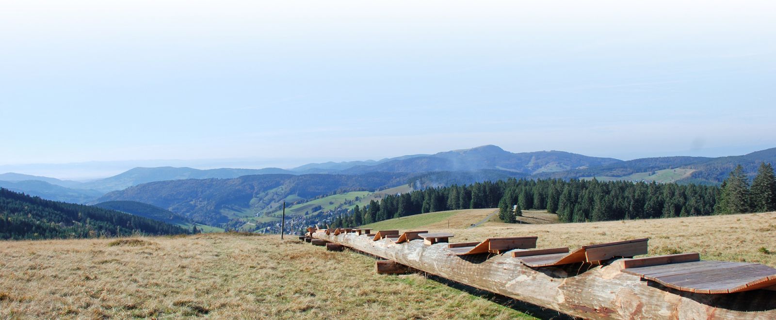 Längste Baumliege bei Todtnau