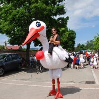 Elsaessische Weinstrasse Storch Spass