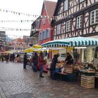 Haslacher Wochenmarkt 03