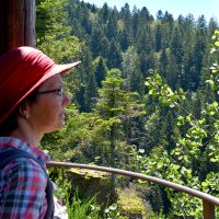 Elisabeth Geheimtipp Burgbachwasserfall Pavillon Ausblick