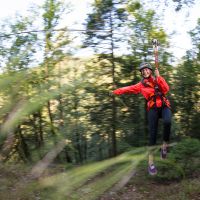 Ziplinehirschgrund 4