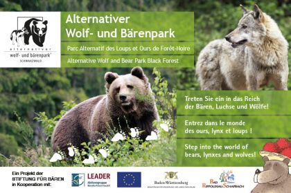 Bärenpark Anzeige 2024