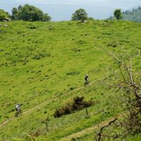 Region Schwarzwald Elsass Adtour Vogesen